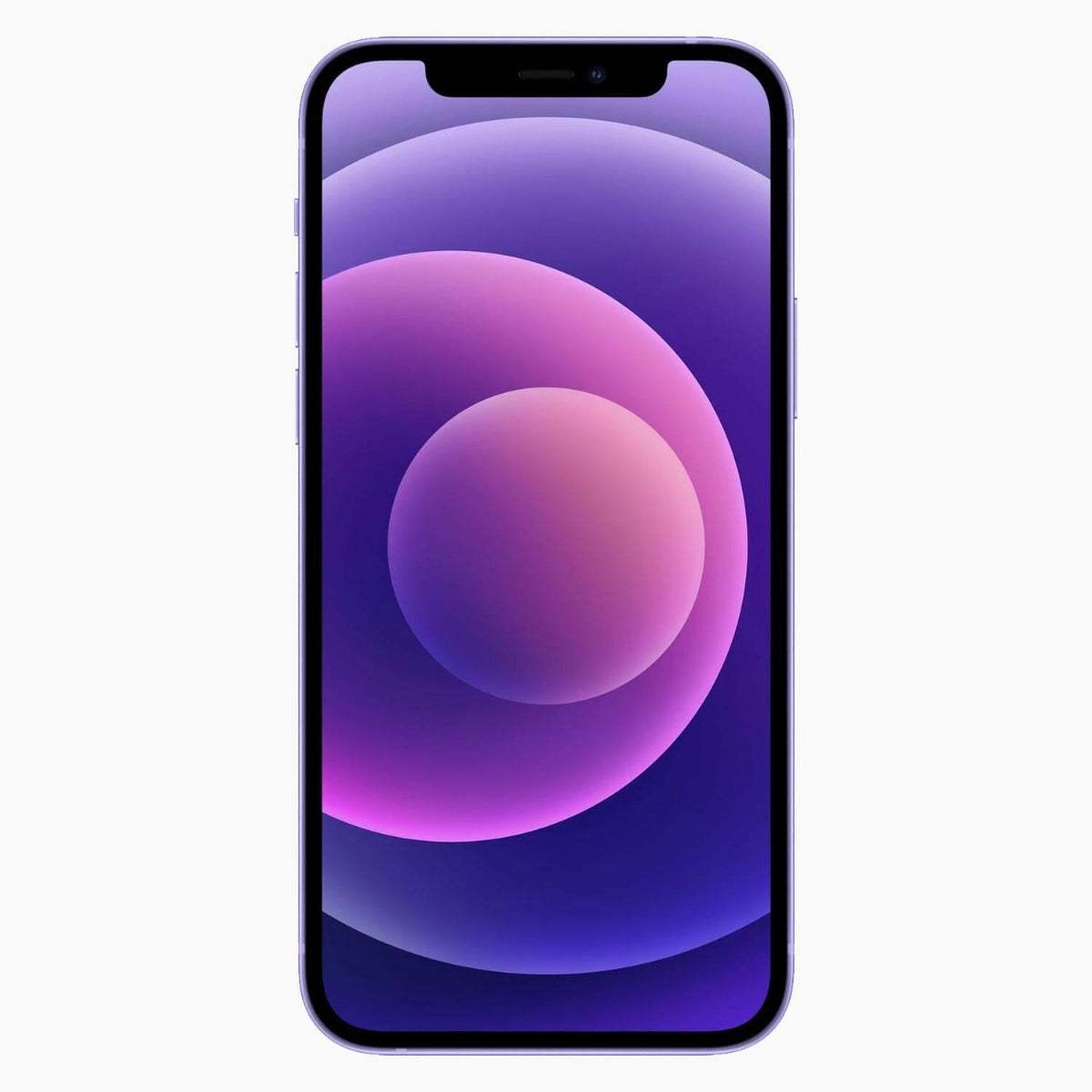 iPhone 12 ricondizionato 256 GB viola - parte anteriore