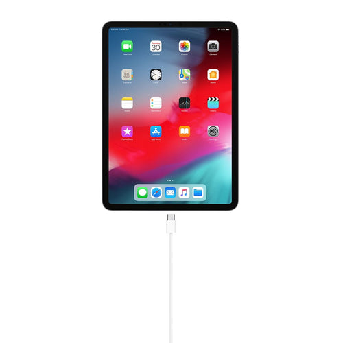Cavo Apple USB-C naar USB-C ricondizionato - 1 metro - Bianco - foto 2